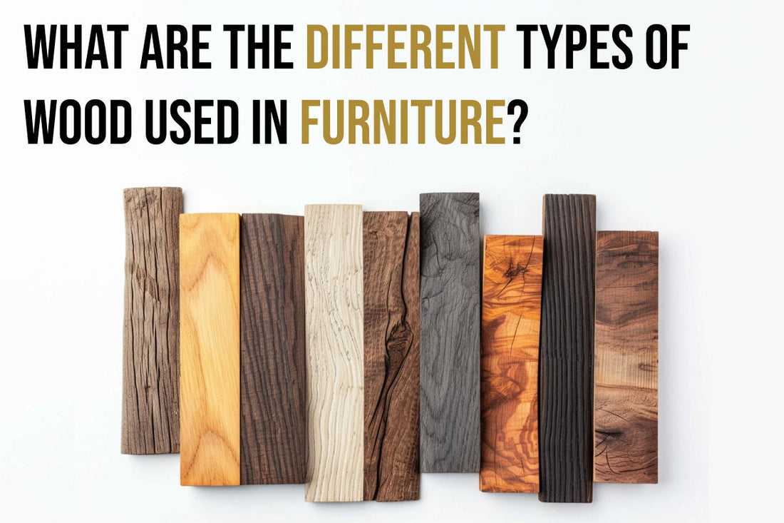 Types of Wood for Furniture: From Hardwoods to Softwoods Explained - Featured Image