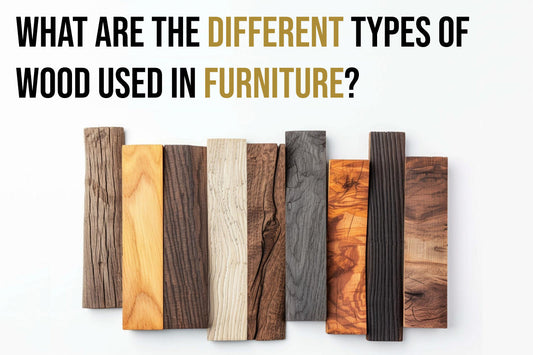 Types of Wood for Furniture: From Hardwoods to Softwoods Explained - Featured Image