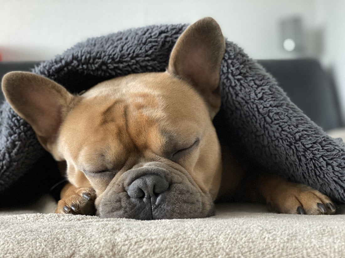 Improve Your Sleep with a New Mattress - Featured Image