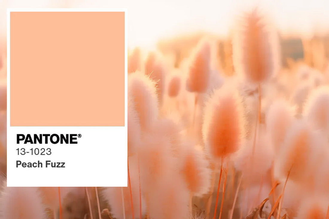 Peach Fuzz: Pantone's 2024 Color of the Year - Featured Image