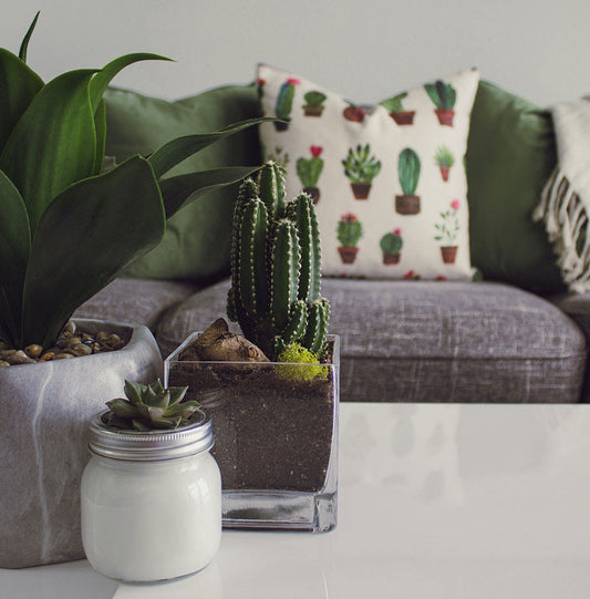 Decorating Tip: Start Small - Featured Image