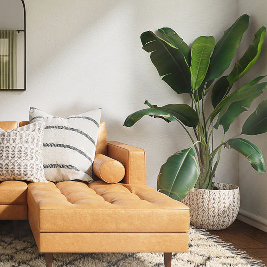 Decorating Tip: Add Some Live Plants - Featured Image