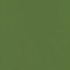 #100 Brisa Apple Green ~ Style & Color ~ TF