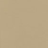 #100 Brisa Desert Clay ~ Style & Color ~ TF