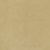 #100 Brisa Distressed Chamois ~ Style & Color ~ TF
