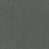 #100 Brisa Distressed Iron ~ Style & Color ~ TF