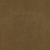 #100 Brisa Distressed Lasso ~ Style & Color ~ TF