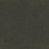 #100 Brisa Distressed Steerhide ~ Style & Color ~ TF