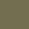 #100 Brisa Putty ~ Style & Color ~ TF