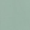 #100 Brisa Sterling Blue ~ Style & Color ~ TF