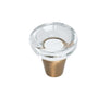 #107-CB Knob (Acrylic/Champagne Brass) ~ Form and Function ~ ZC