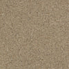 #22-71 Hemsath ~ Style & Color ~ TCC