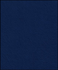 Blue ~ Style & Color ~ TCC