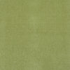 #5171 Ciao Grass ~ Style & Color ~ TF