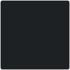 Black ~ TCC ~ Painted Finishes