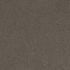 #C16-45 Chimney ~ Style & Color ~ TCC