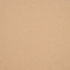 #C2-11 Canvas ~ Style & Color ~ TCC