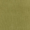 #C2-29 Celery ~ Style & Color ~ TCC