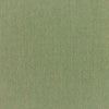 Canvas Fern ~ Style & Color ~ Finch
