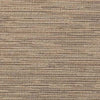 Charmer Wren ~ Style & Color ~ Finch