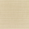 Dupione Sand ~ Style & Color ~ Finch