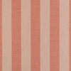 Expressive Blush ~ Style & Color ~ Finch