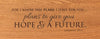 Jeremiah 29:11 ~ Charmworks