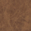 #L20 Whiskey ~ Style & Color ~ BR