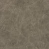#L25 Fossil ~ Style & Color ~ BR