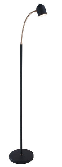 Tiara LED Adjustable Gooseneck Floor Reading Lamp – Black & Antique Brass