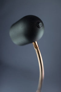 Tiara LED Adjustable Gooseneck Floor Reading Lamp – Black & Antique Brass