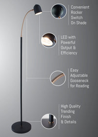 Tiara LED Adjustable Gooseneck Floor Reading Lamp – Black & Antique Brass