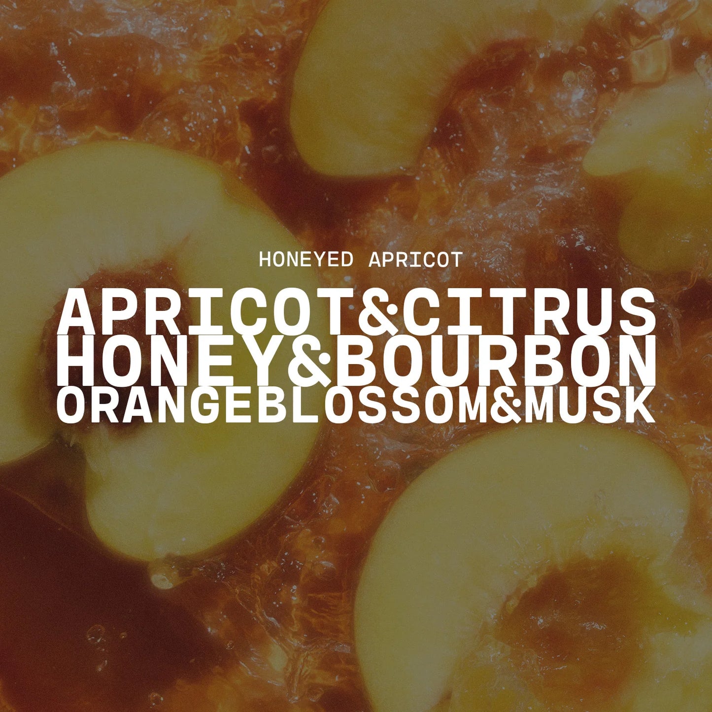 Honeyed Apricot Sweet Citrus Jar Candle