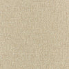 #R1-22 Fritter ~ Style & Color ~ BR