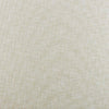 #499.33 Rembrandt Stonewash ~ Style & Color ~ TF