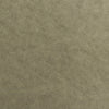 #L1002 Road Warrior Tan ~ Style & Color ~ TF