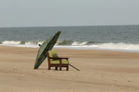 Van Buren Poly Chair