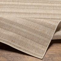 Eagean Outdoor Rug