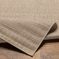 Eagean Outdoor Rug