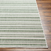 Eagean Outdoor Rug