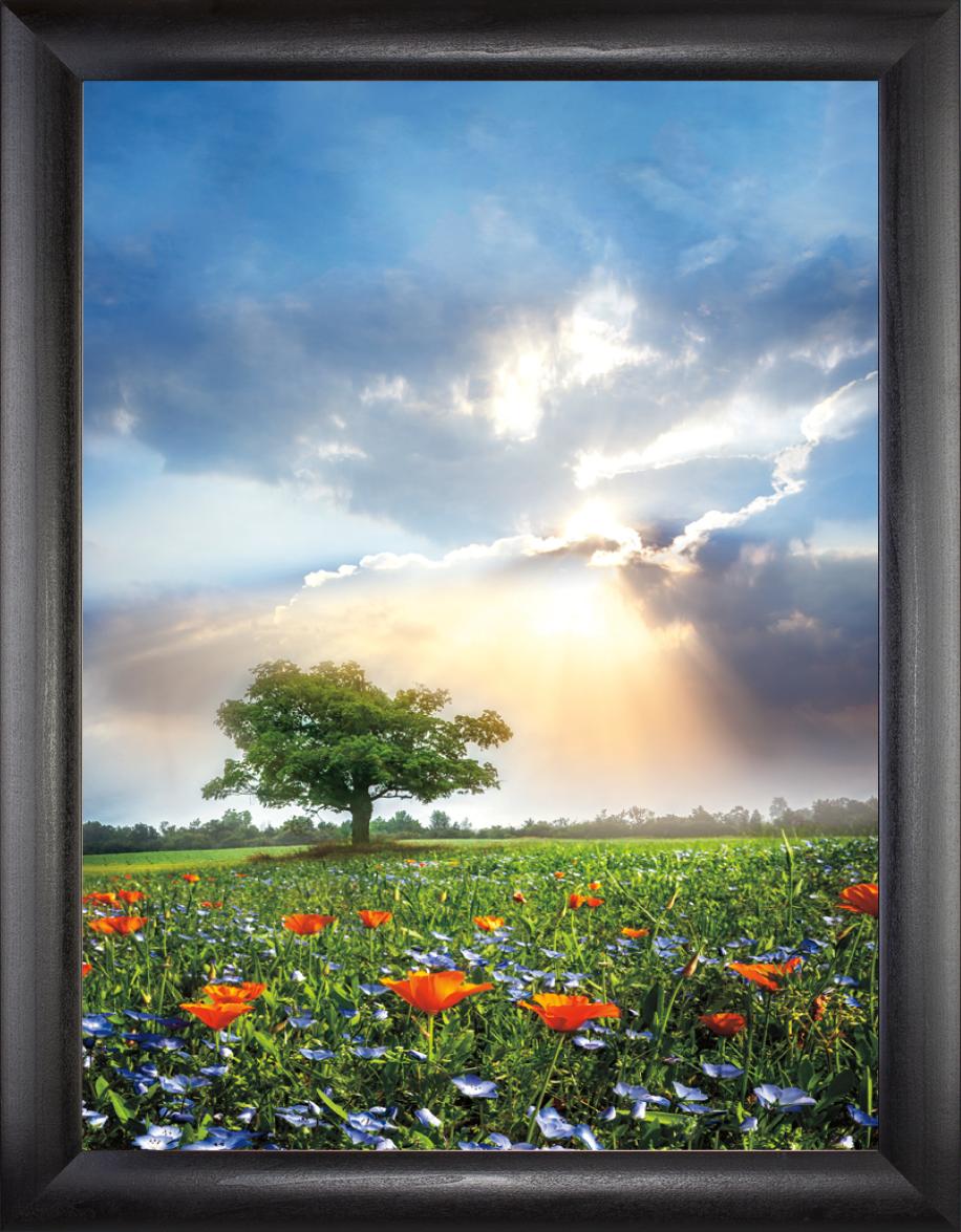 Glowing Sunset After The Rain - 18x24 - Simple Black Frame