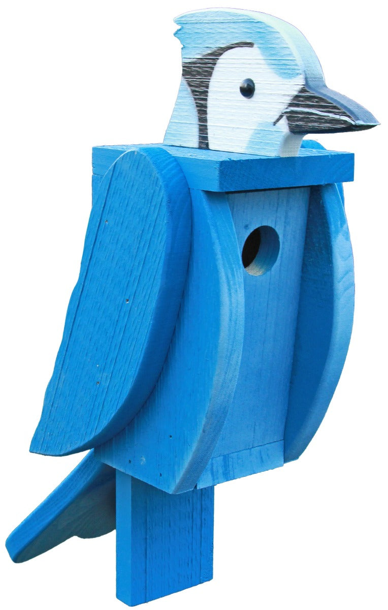 Blue Jay Bird House