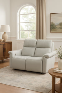 Finn Reclining Loveseat