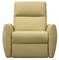 Art of Options Recliner