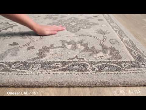 Caesar Area Rug