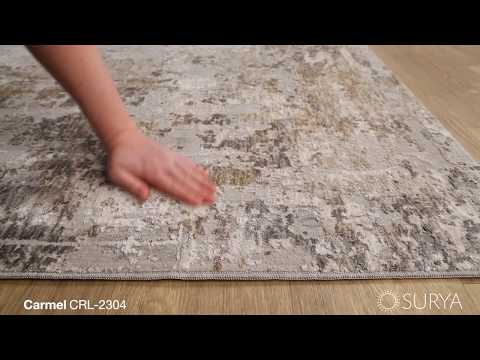 Carmel Area Rug