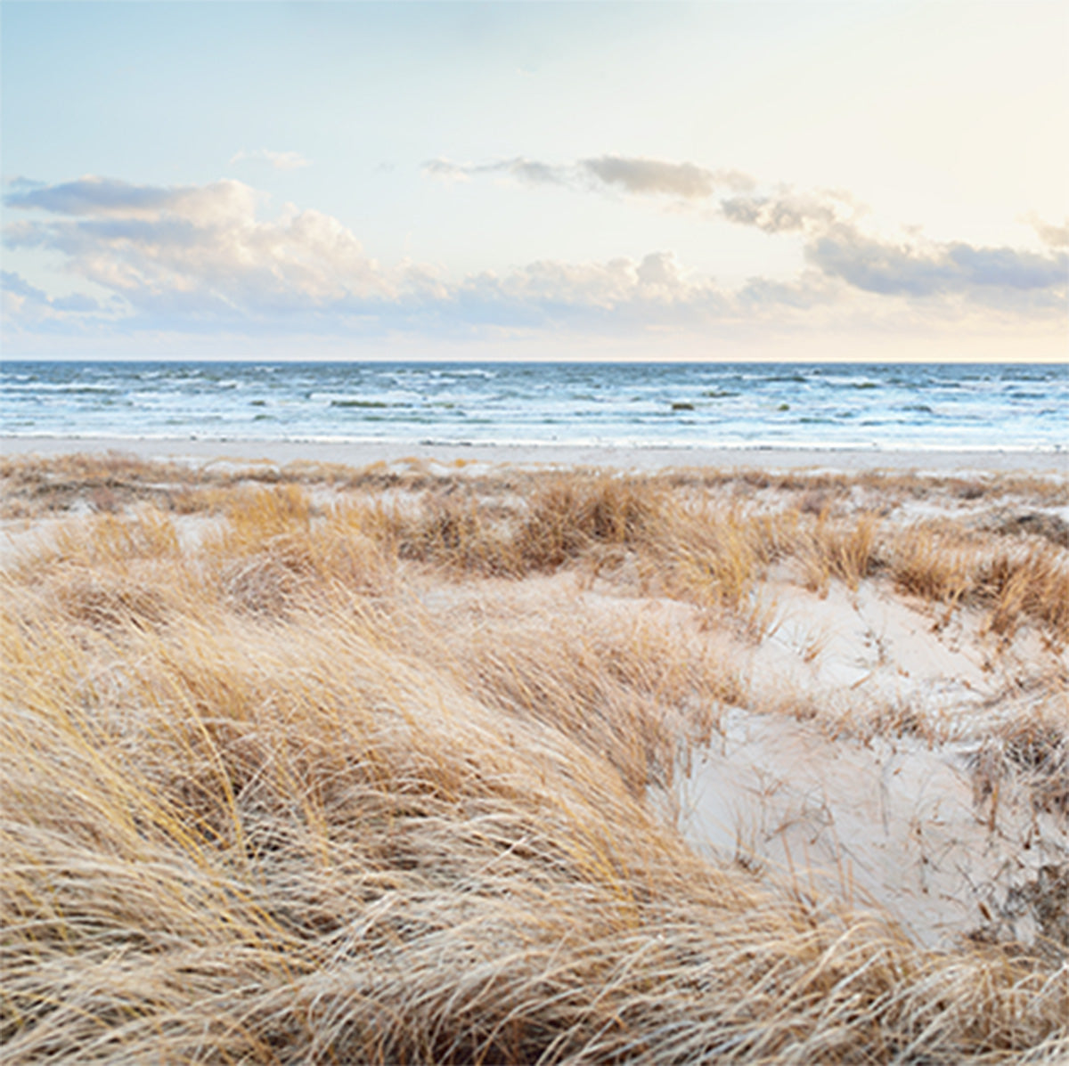 North Shore Coastal Scented Soy Candle