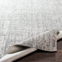 Aisha Area Rug