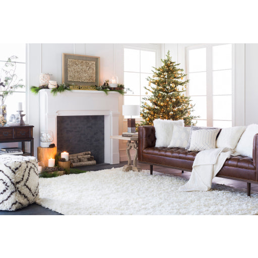 Ashton Wool Area Rug