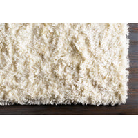 Ashton Wool Area Rug